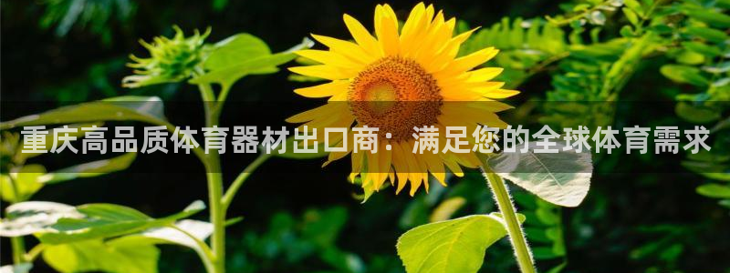 尊龙凯时推荐人