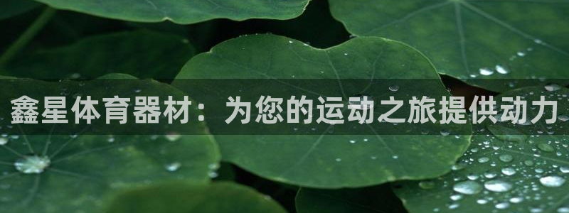 尊龙集团有限公司官网地址