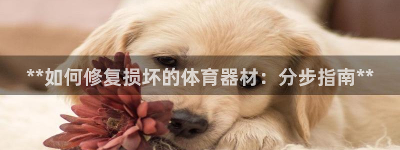 尊龙凯时产品种类