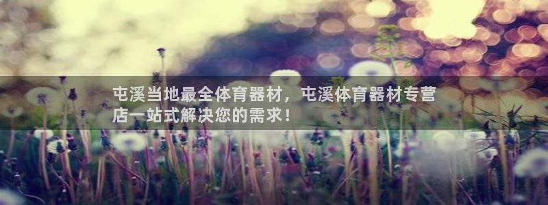 凯时a88