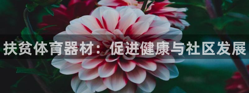 尊龙凯时官网