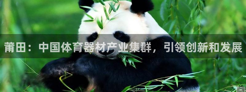 凯时app赢AG发财网来就送38