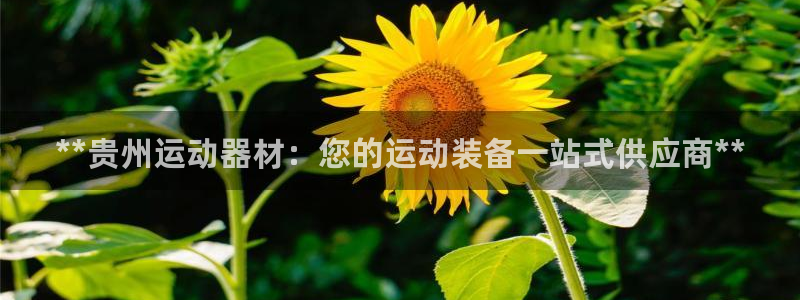 尊龙凯时老板