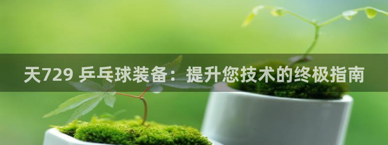 尊龙t500和t300区别