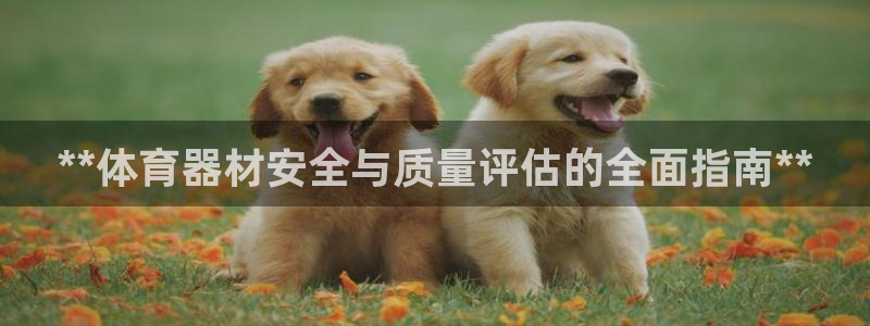尊龙凯时一人生就是博官网