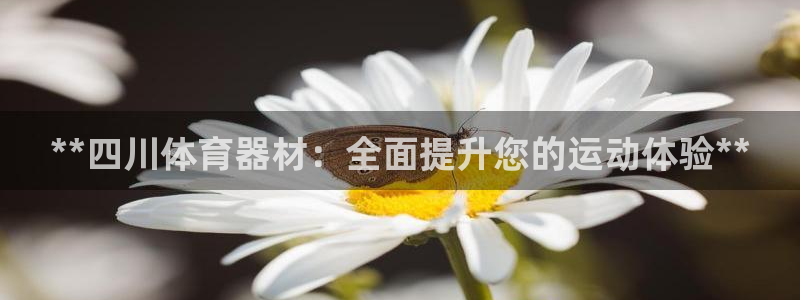 尊龙凯时城娱乐