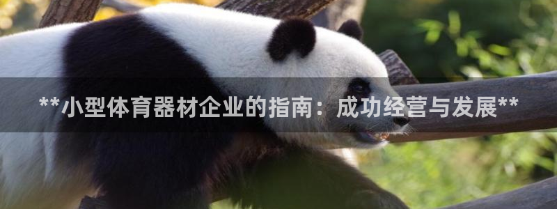 尊龙人生手机版都去ag发财网