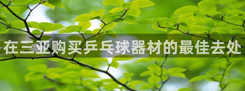 尊龙ag旗舰厅手机版