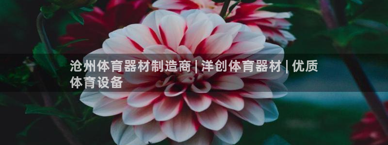 尊龙手机端下载