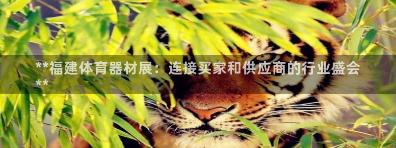 kb88凯时SO权威AG发财网