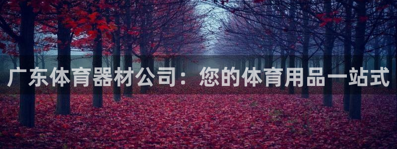 尊龙凯时邀请码
