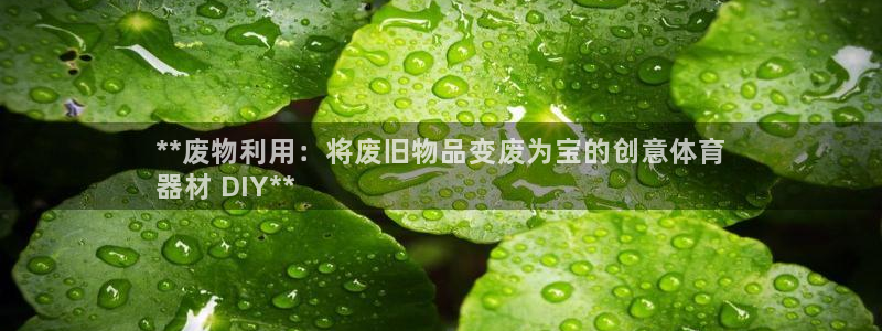 d88尊龙手机客户端下载