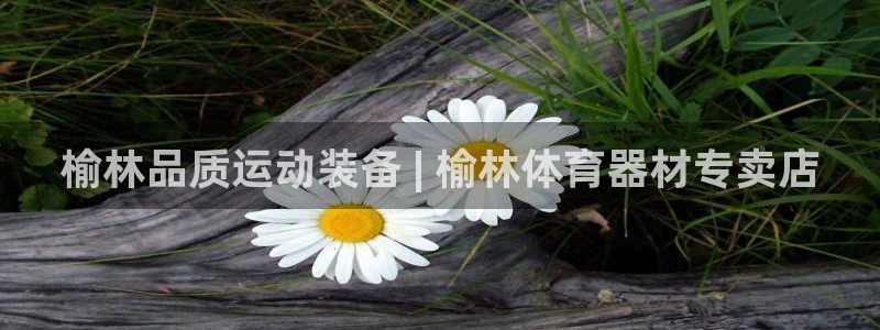 尊龙凯时这个平台怎么样