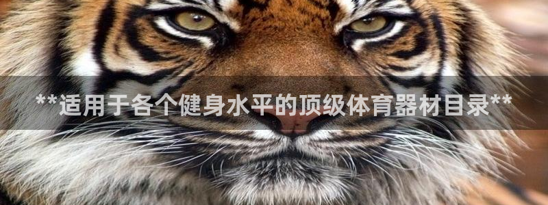 凯时APP官网首页