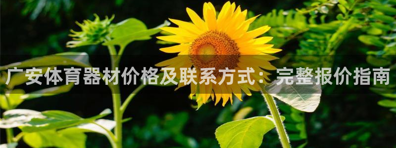 尊龙app认可ag发财网