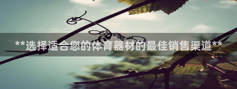 ag旗舰平台尊龙代言