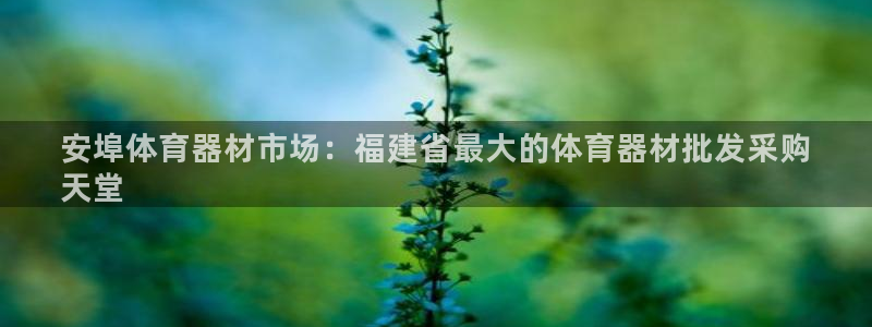 尊龙凯时提不了款