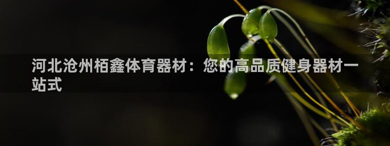 尊龙凯时平台怎么样