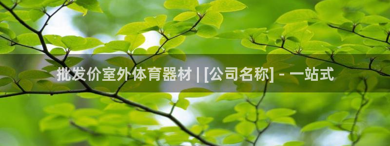 尊龙集团有限公司官网