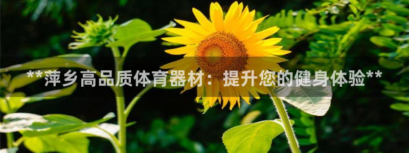 尊龙现金一下S选来就送38