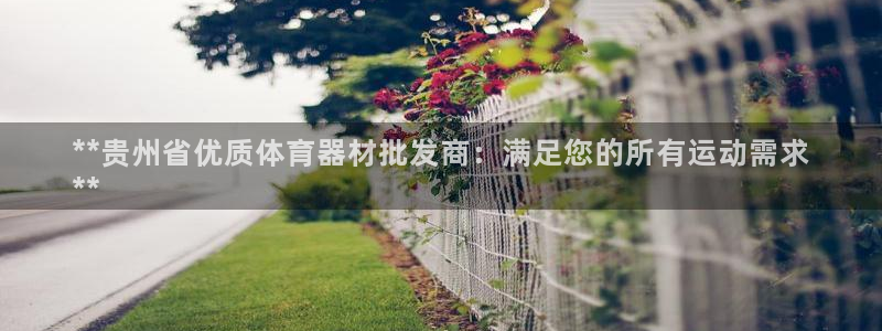 尊龙凯时干什么的