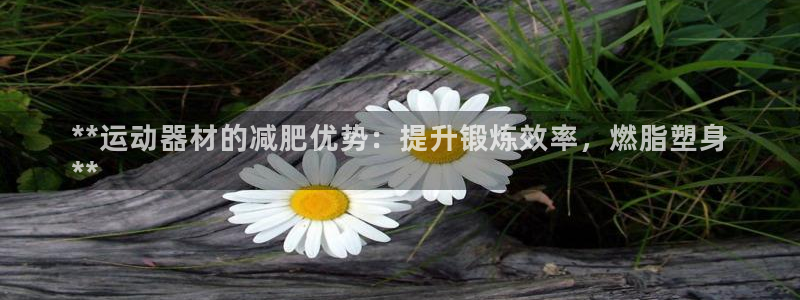 Z6尊龙官网入口
