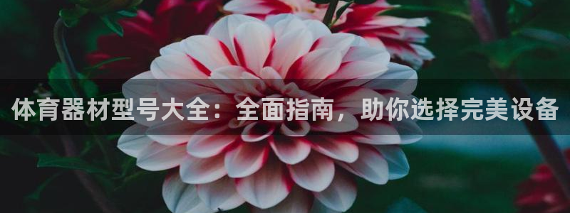 尊龙凯时官网入口