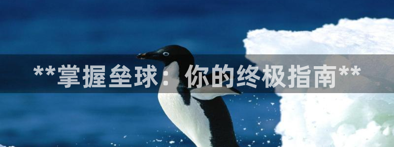 尊龙 下载