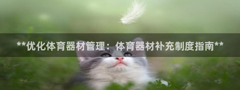 尊龙t300和t400哪个好