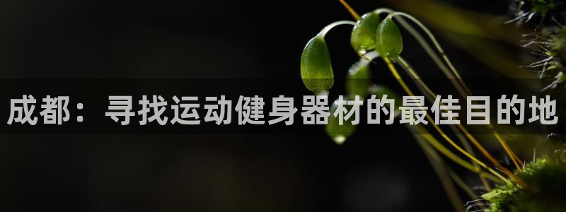 尊龙官方网址