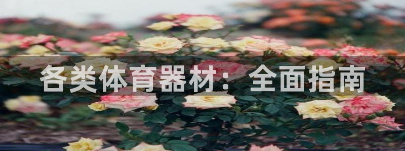 尊龙凯时论坛