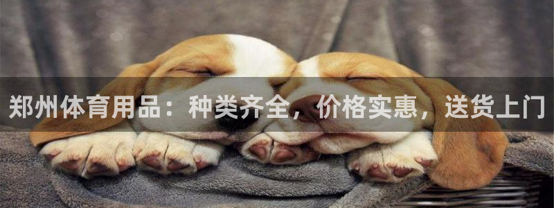 尊龙 中国