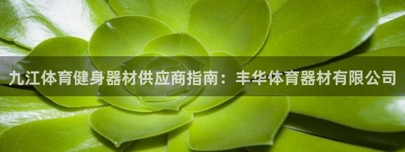 尊龙凯时产品种类
