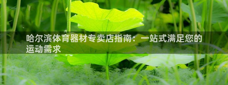 尊龙d88官网可靠送38元