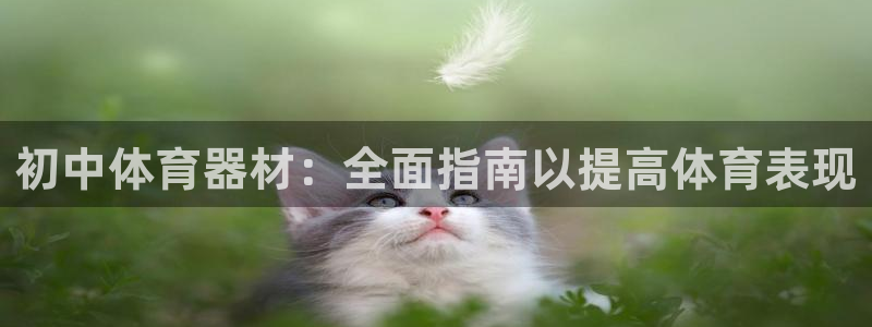 凯时尊龙app国际官方网站