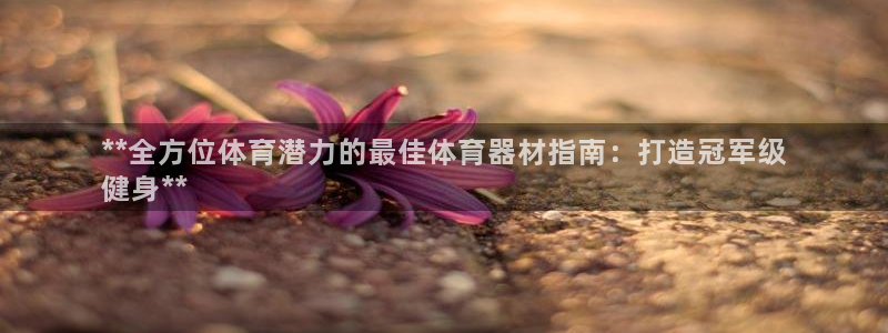 凯时官网手机版下载