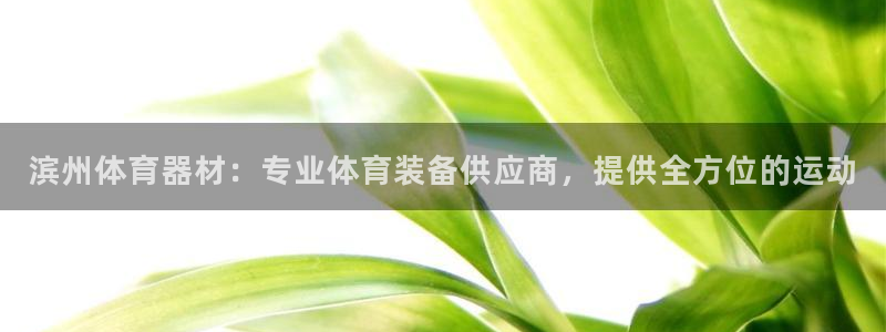 d88尊龙官网手机app