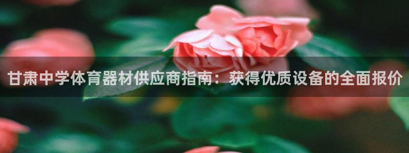 凯时官网的售后服务