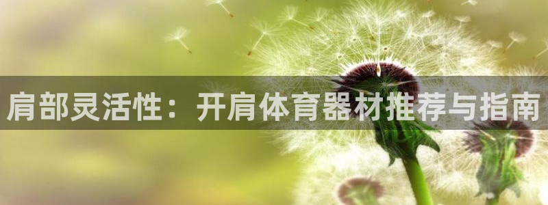 尊龙体育怎么样