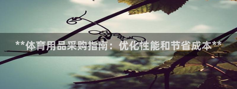 尊龙官方网站