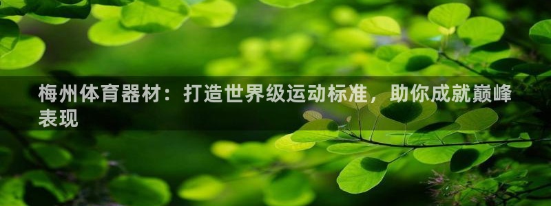 尊龙体育游戏平台