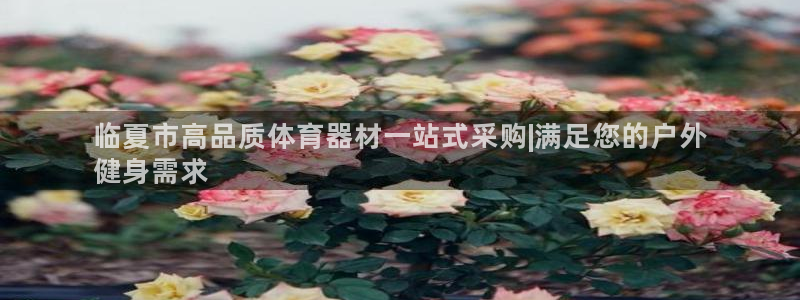 尊龙凯时国际