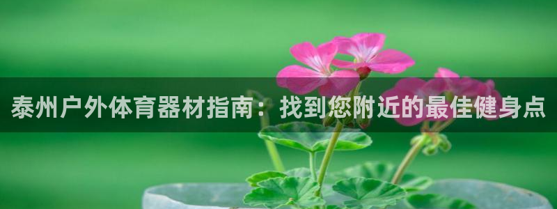 ag旗舰平台尊龙代言