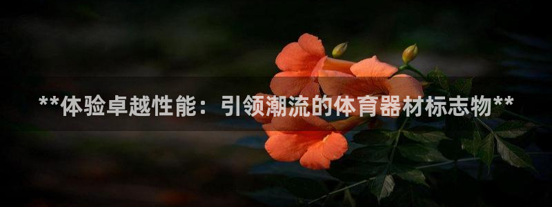 尊龙这个平台怎么样