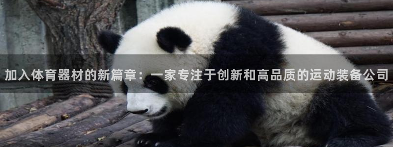 尊龙平台有谁玩过