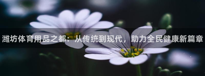 尊龙平台有谁玩过