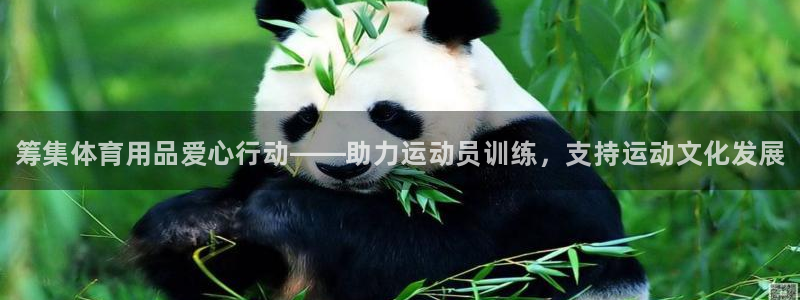 尊龙信息科技有限公司