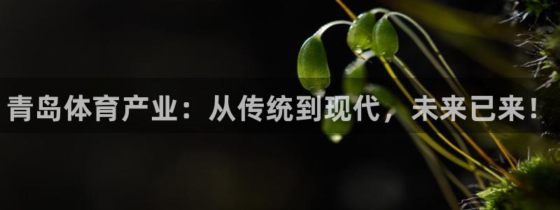 凯时尊龙官网网址：青岛体育产业：从传统到现代，未来已来！