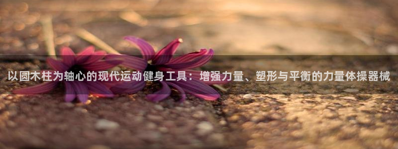 尊龙凯时发展历程